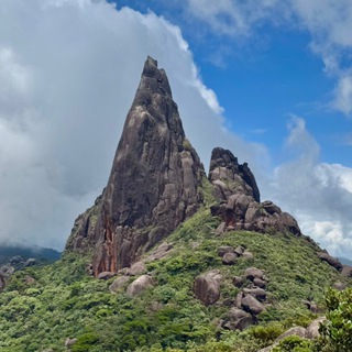 Telegram group profile photo for Вьетнамский хайкинг 🇻🇳⛰️