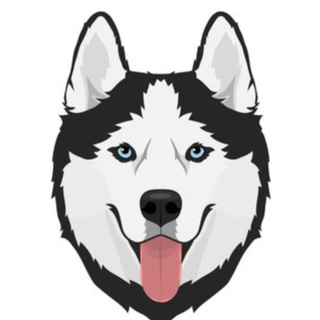 Telegram profile photo for Husky da Promoção