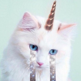 Telegram profile photo for Я калечь