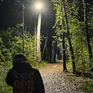 Telegram profile photo for self sabotage