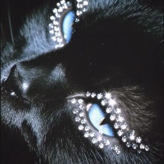 Telegram profile photo for Meowwg>_<
