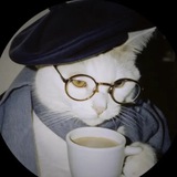 Telegram profile photo for —