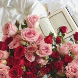 Telegram profile photo for آيات…♥️