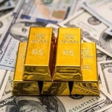 Telegram profile photo for Forex Signals