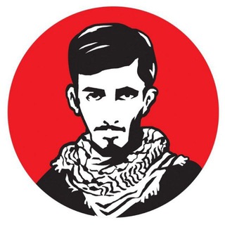 Telegram profile photo for پلاکت