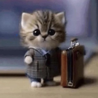 Telegram profile photo for Записки фугу