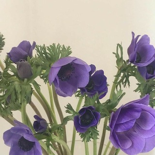 Telegram profile photo for Pinterest Ideas