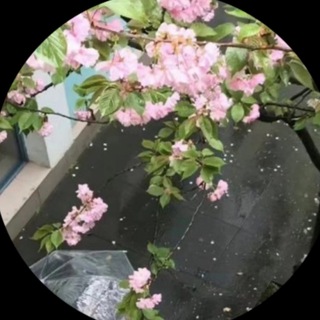 Telegram profile photo for ذِكـر🤍