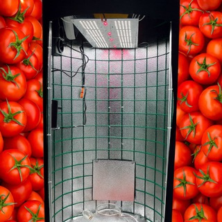 Telegram profile photo for GrowTube.ru