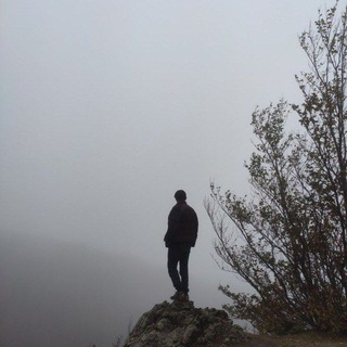 Telegram profile photo for The silent hill