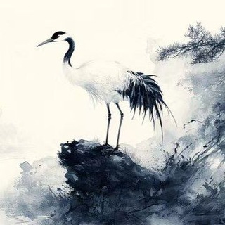 Telegram profile photo for 三角洲KG官方群
