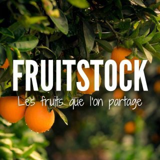 Telegram profile photo for FRUITSTOCK