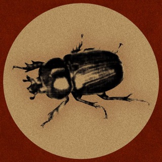 Telegram profile photo for blind snares sputnik unit