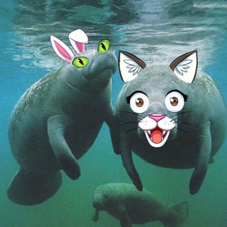 Telegram profile photo for Nonsense e cose a caso