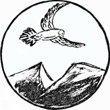 Telegram profile photo for Saami Post