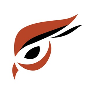 Telegram group profile photo for raptoreum