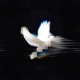 Telegram profile photo for 〆 𝐈 𝐋ᴏsᴛ 𝐅ʏᴛ 〆