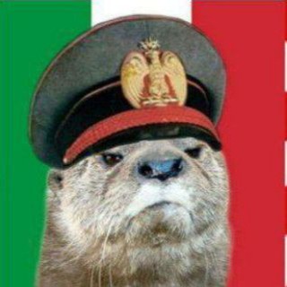 Telegram profile photo for Anarcho fascism otteristan