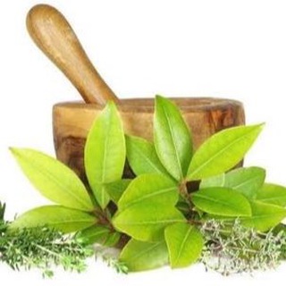 Telegram profile photo for AYURVEDA HEALTH - 7