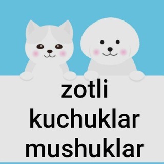 Telegram group profile photo for ✳️Vodiy🐶🐱 KUCHUK-MUSHUK bozori