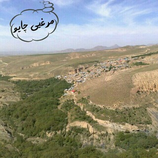 Telegram profile photo for مرغئی چایو
