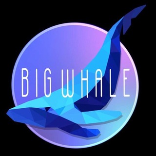 Telegram profile photo for Big Whale Discussion🐳