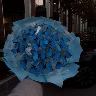Telegram profile photo for Букеты из бабочек на заказ