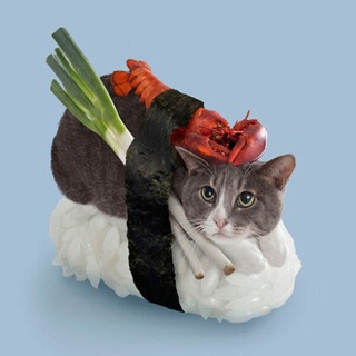 Telegram profile photo for SUSHICAT Portal