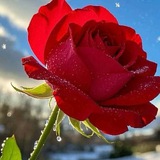 Telegram profile photo for 腾龙平台 腾龙娱乐公司 东南亚娱乐平台