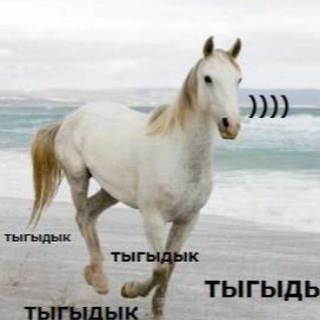 Telegram profile photo for Лошадиный блог🐎💨