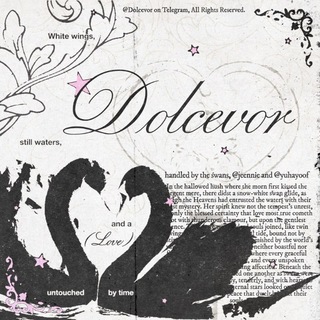 Telegram profile photo for DOLCEVOR: CONVERT, TON, &. JASA NFT.