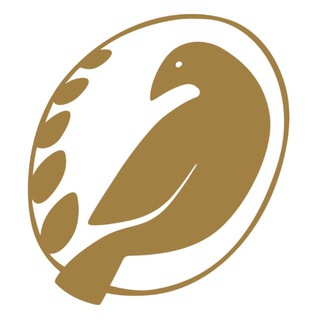 Telegram profile photo for Скопинская Керамика