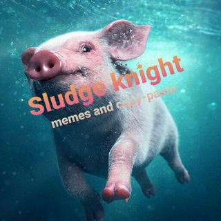 Telegram profile photo for Sludge_knight