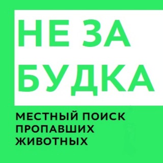 Telegram profile photo for НЕЗАБУДКА: стена поиска пропавших животных в Савелках (3, 5, 6, 7 мкр.)
