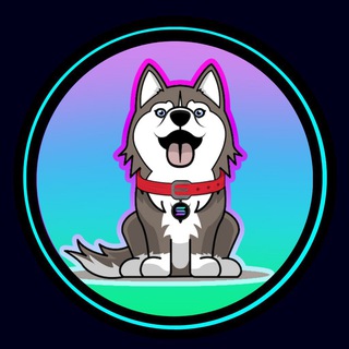 Telegram profile photo for Clover - Solana Founder’s Dog