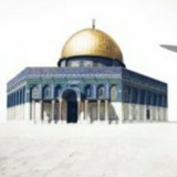 Telegram profile photo for كل جديد انصار الله،،،، قناة المجاهدين🇾🇪🇸🇾🇱🇧🇮🇶🇸🇩