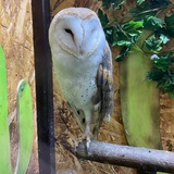 Telegram profile photo for Отзывы моих клиентов