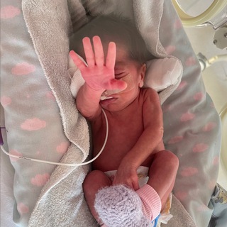 Telegram profile photo for Neonatología