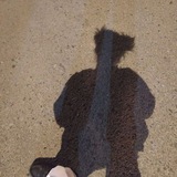 Telegram profile photo for ️𝐁𝐞 𝐊𝐢𝐧𝐝️