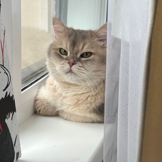 Telegram profile photo for Не перебивай меня. 🎉❤️