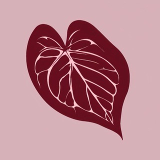 Telegram profile photo for Plantathai | Plantatherapy shop | антуриумы и редкие растения