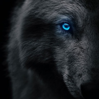 Telegram profile photo for hidden_secrets_theworld
