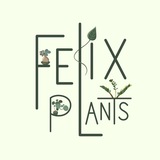 Telegram profile photo for Felix plants🌱