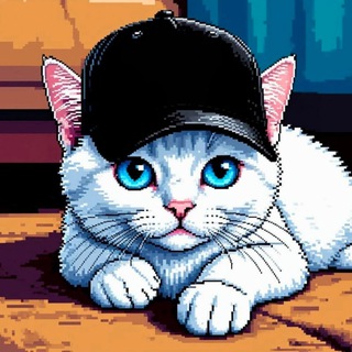 Telegram profile photo for Life Channel