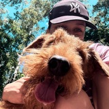 Telegram profile photo for Вигдисон Патиссон 🌸