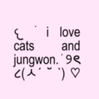 Telegram profile photo for meow.is arch info