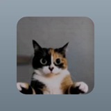 Telegram profile photo for Supercell Guides/Leaks