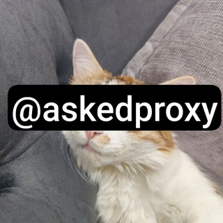 Telegram profile photo for Asked Proxy