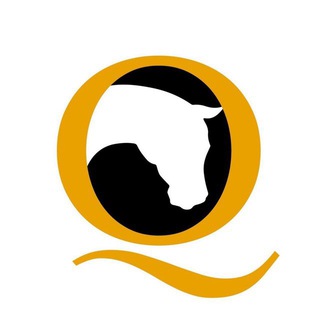 Telegram profile photo for 📣EQUESTRIAN