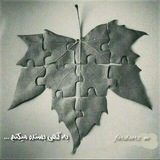 Telegram profile photo for فریبــرز